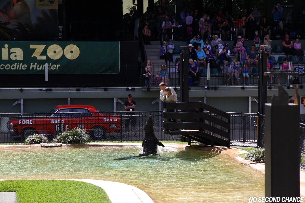 A very brave Bindi Irwin feeds a huge crocodile as part of the 'Wildlife Warriors' show in the Crocoseum..!!